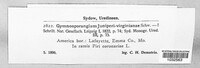 Gymnosporangium juniperi-virginianae image